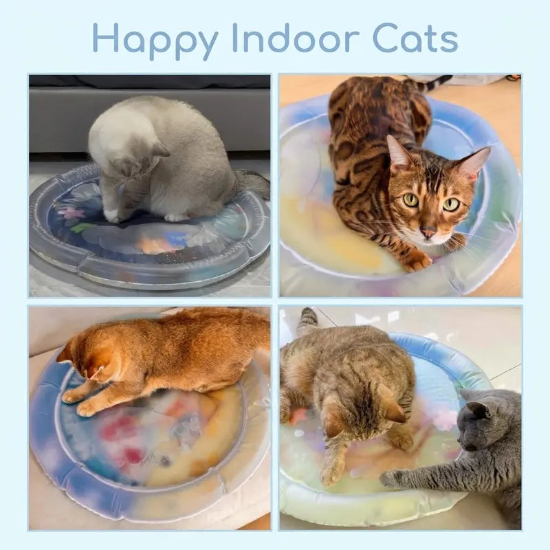 Thickened Anti-Scratch Leakproof Cat Water Mat - Indoor Durable Interactive Toy, Pet Cooling Mat, Christmas Gift, Cat Accessories, Pet Supplies