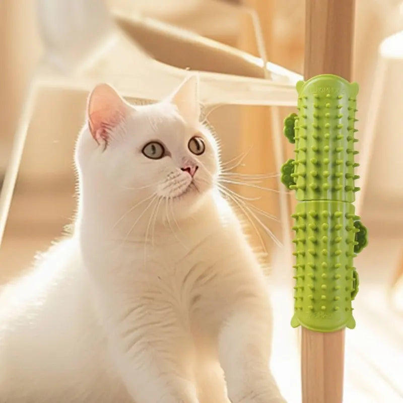 Cat Self Grooming Brush 2-Pack, Wall Corner Massager Comb with Silicone Bristles, Scratching & Hair Removal Relief for Cats & Kittens, Durable